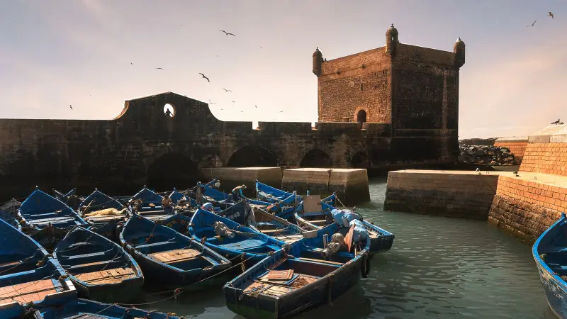 Blue boats in Essaouira harbour, below the fort