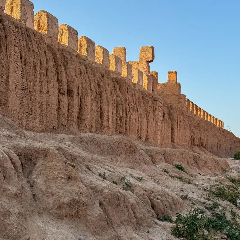 Taroudant's earthen ramparts at sunset